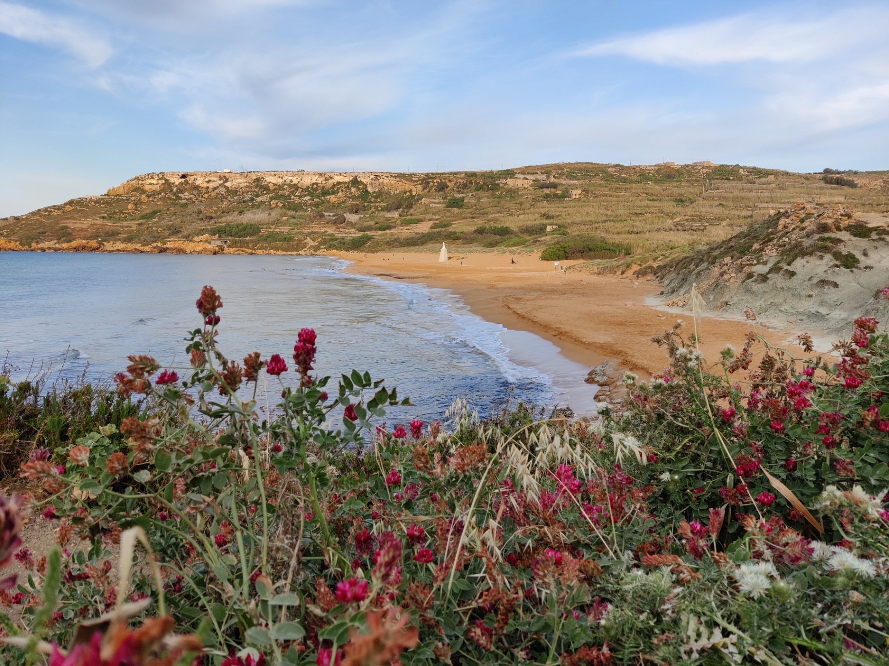 Ramla Bay's red sand beach framed by wildflowers
